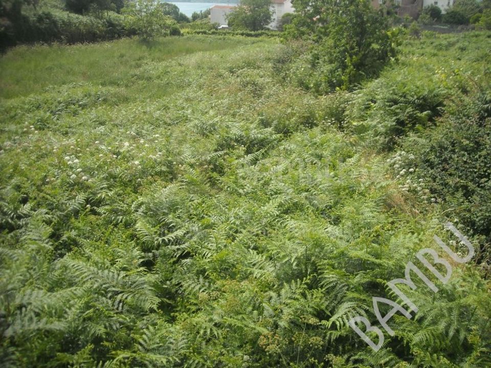 Terra em Valenca, Viana do Castelo - foto 5