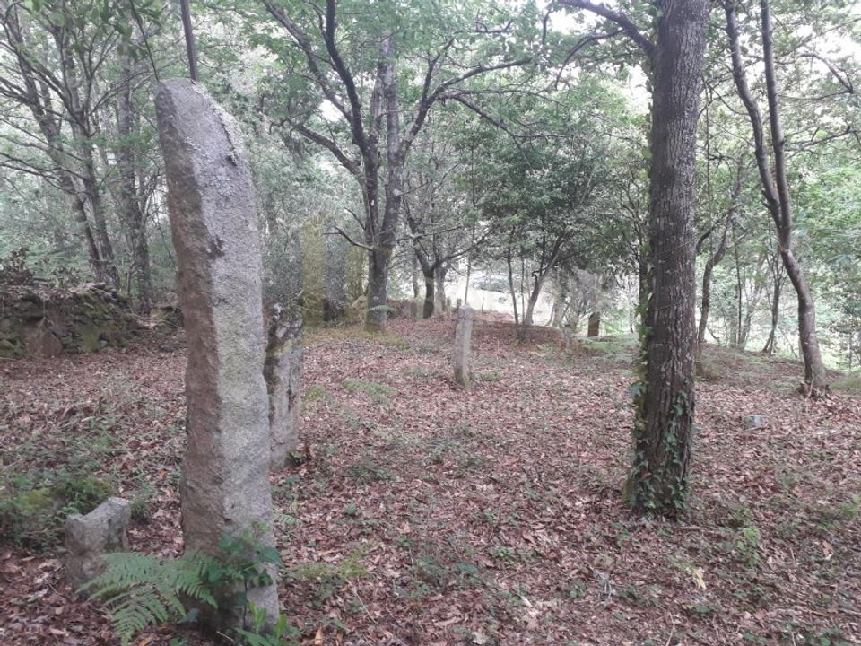 Ruïna a Caminha, Viana do Castelo - foto 5