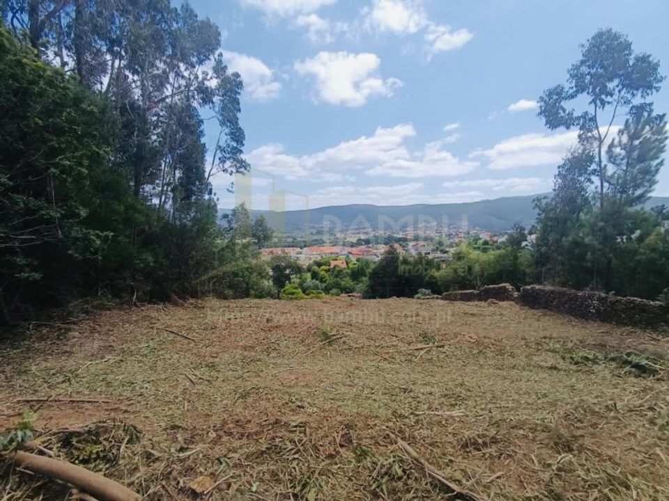 Terra a Caminha, Viana do Castelo - foto 1
