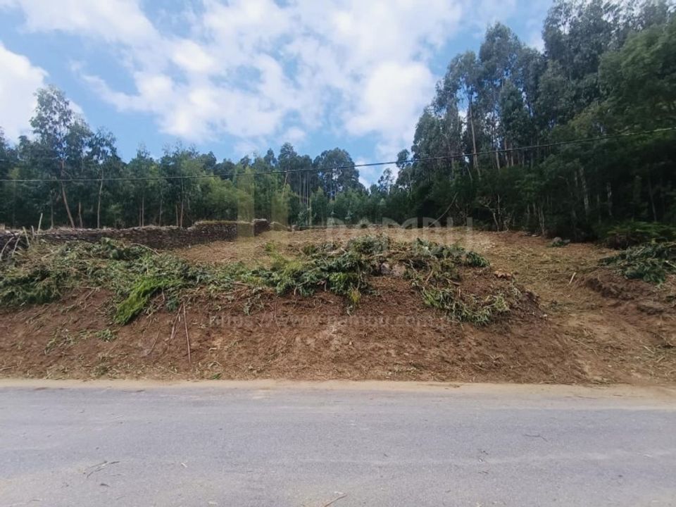 Terra a Caminha, Viana do Castelo - foto 2