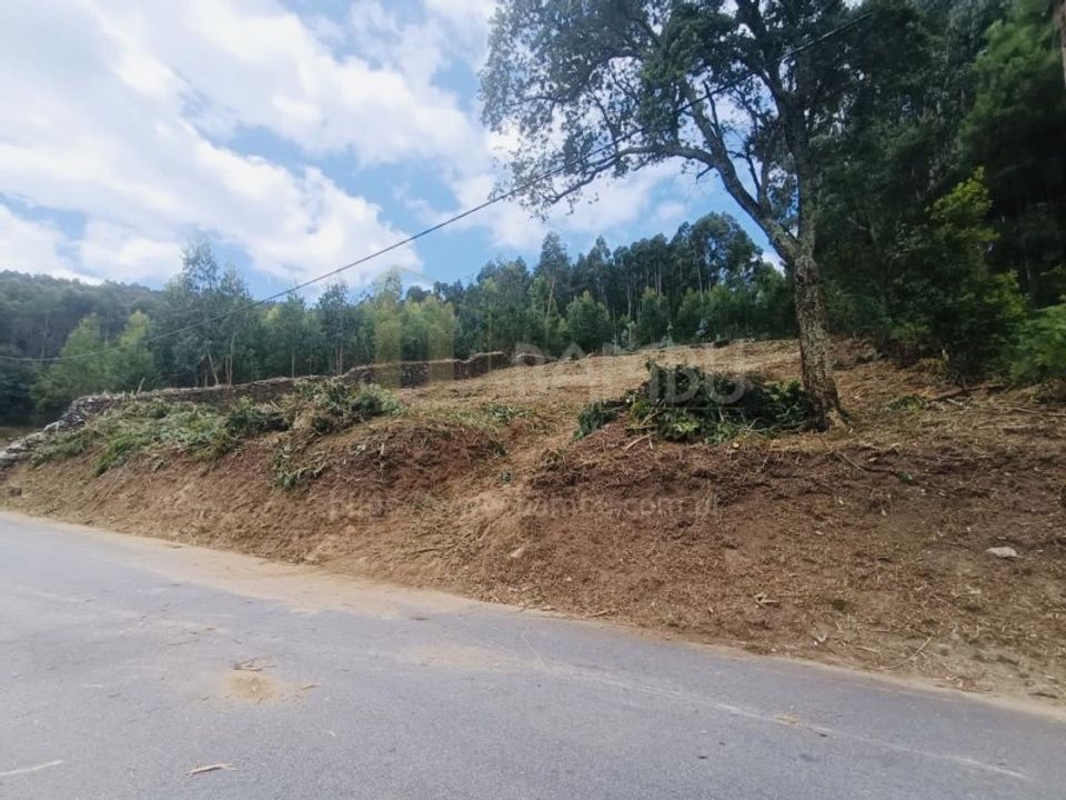 Terra a Caminha, Viana do Castelo - foto 4