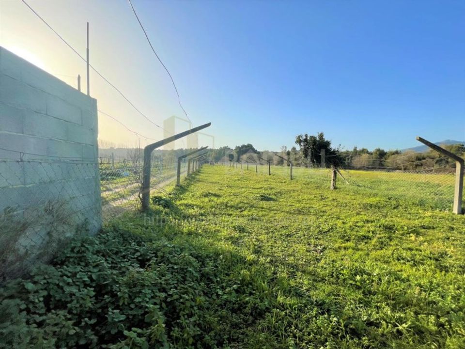 Terra a Caminha, Viana do Castelo - foto 1