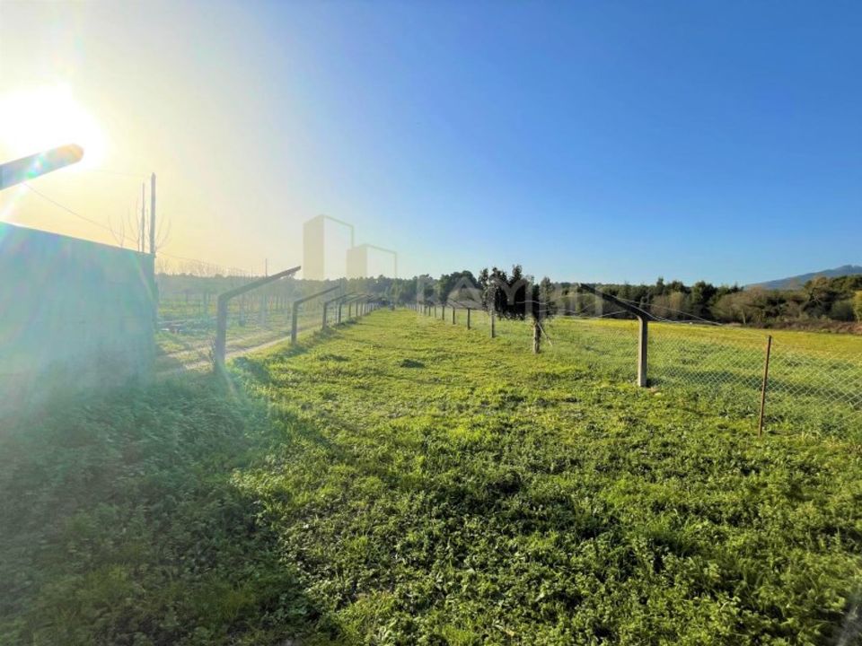 Terra a Caminha, Viana do Castelo - foto 2