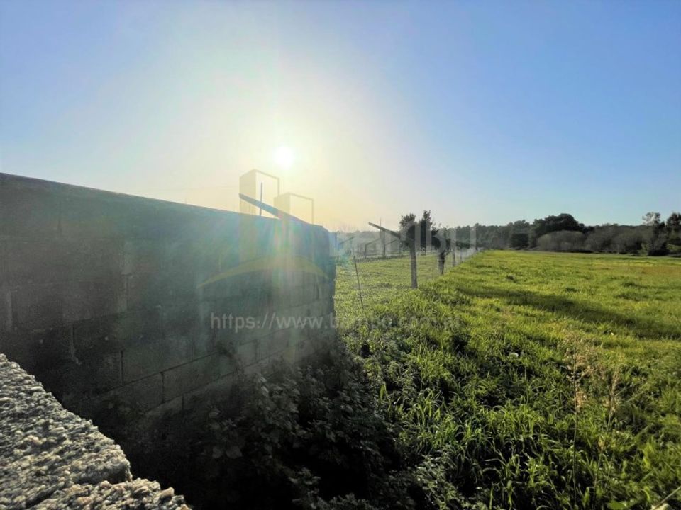Terra a Caminha, Viana do Castelo - foto 3