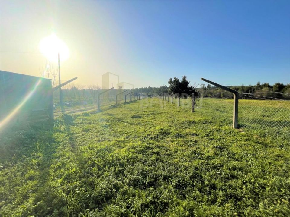 Terra a Caminha, Viana do Castelo - foto 4