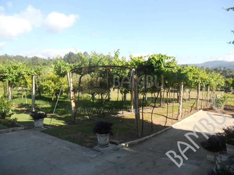 Granja a Caminha, Viana do Castelo - foto 3