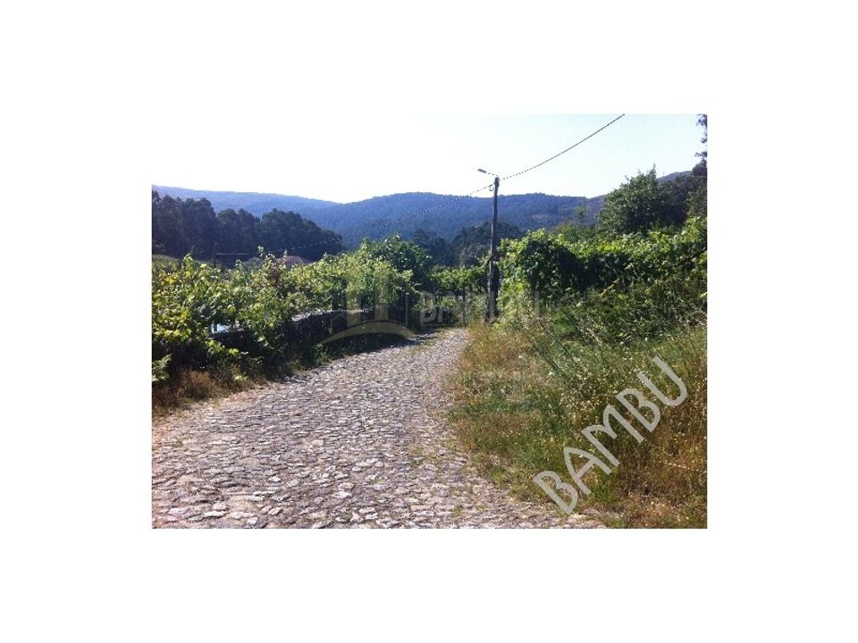 Grond in Venade e Azevedo, Viana do Castelo - foto 4