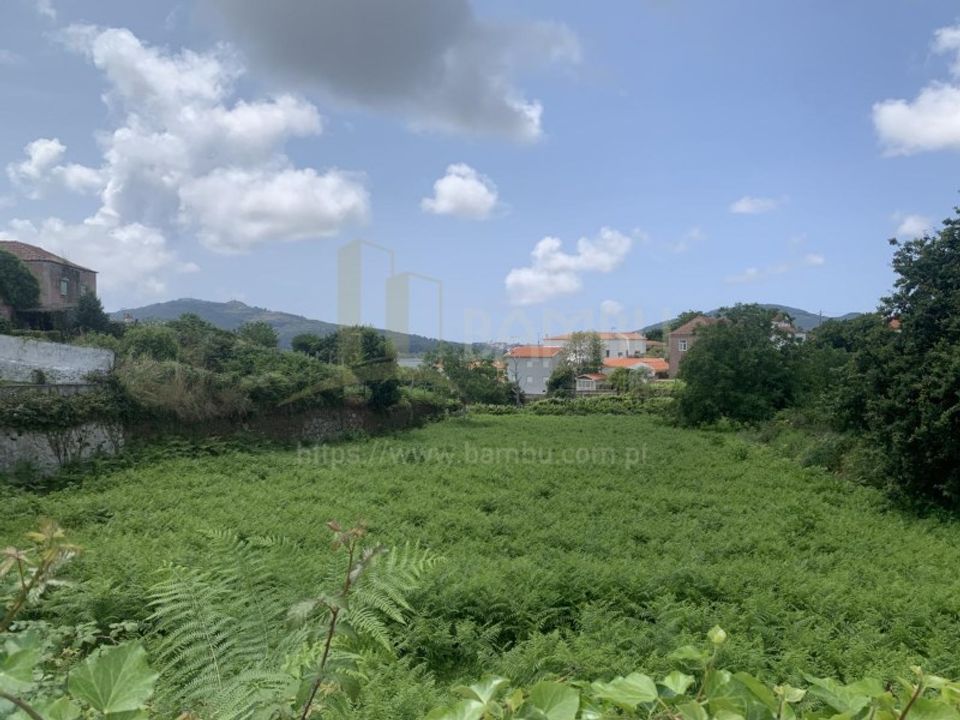 Maa Caminhassa, Viana do Castelo - kuva 1