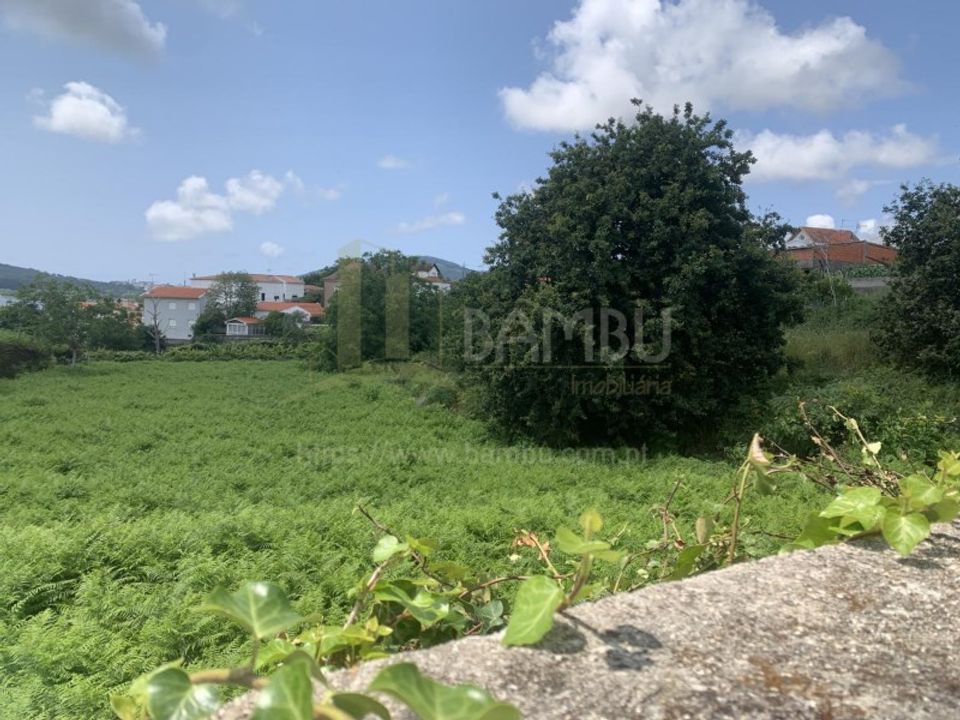 Maa Caminhassa, Viana do Castelo - kuva 5