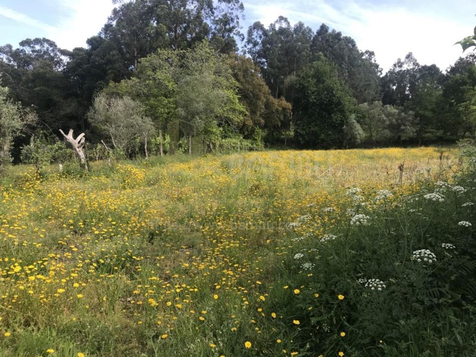 Grond in Valenca, Viana do Castelo - foto 4