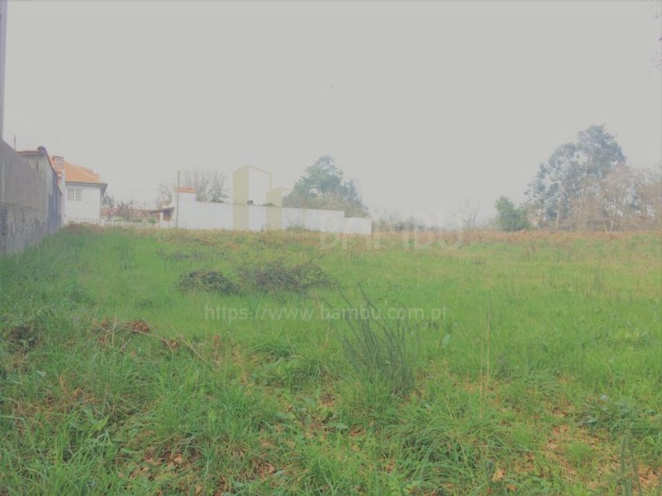 Terra a Caminha, Viana do Castelo - foto 4