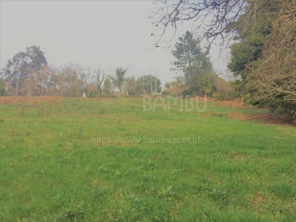 Terra a Caminha, Viana do Castelo - foto 5