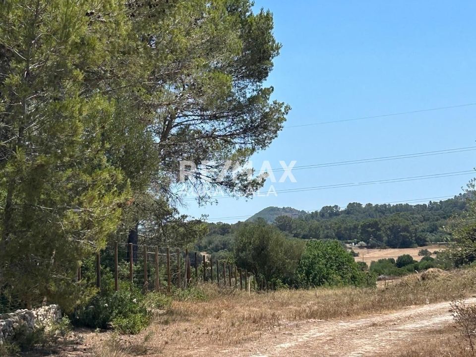 Finca em Manacor, Mallorca - foto 3