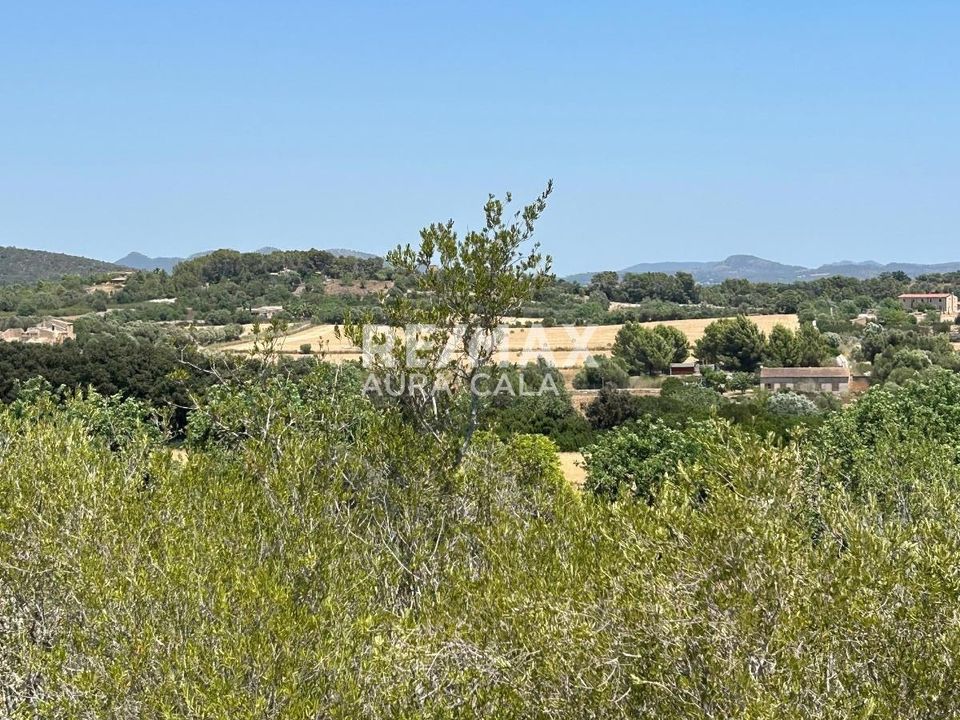 Finca em Manacor, Mallorca - foto 4