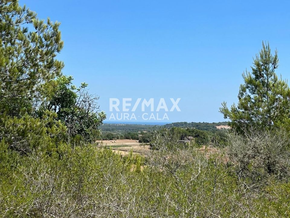 Finca em Manacor, Mallorca - foto 5