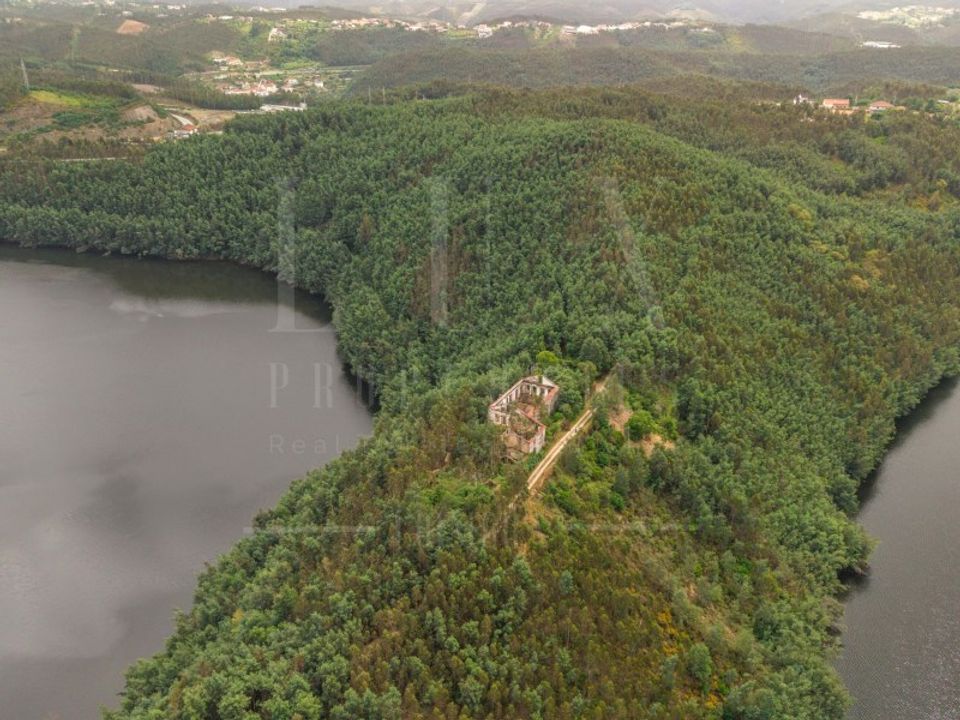 Farm i Penacova, Coimbra - foto 3