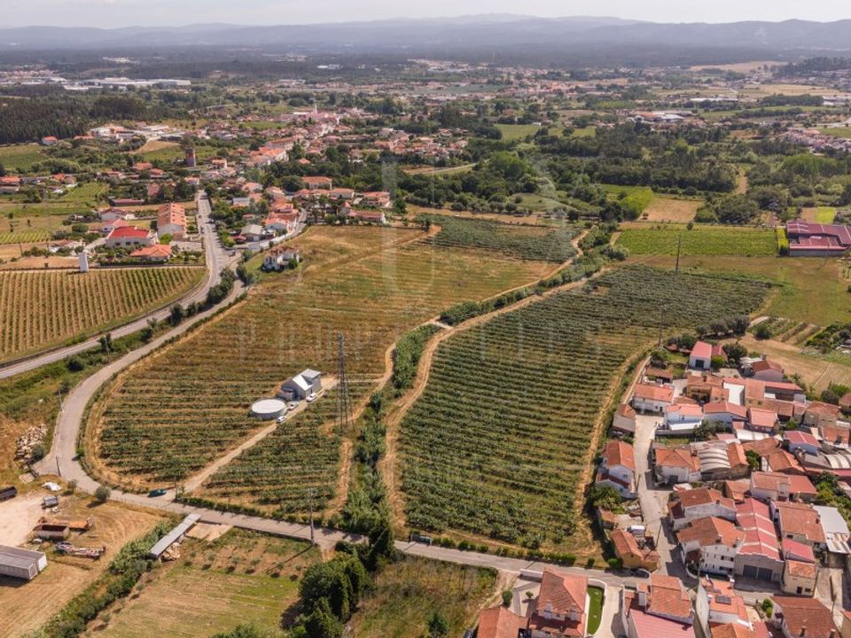 Granja a Anadia, Aveiro - foto 3