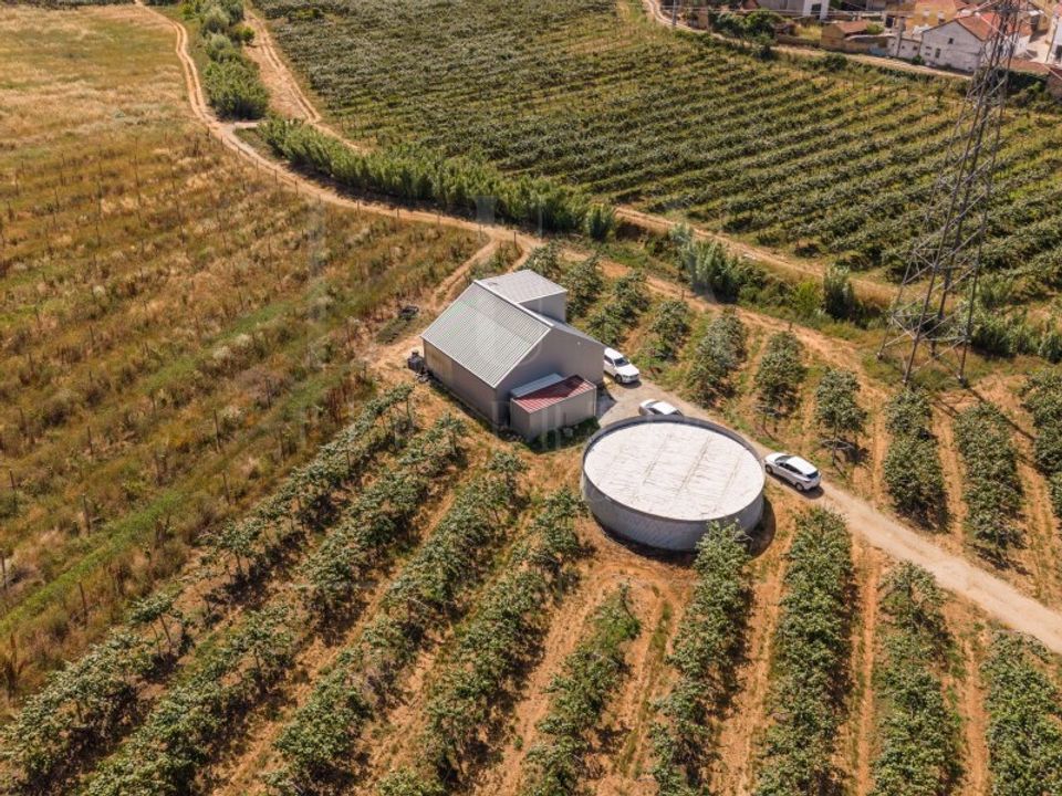 Granja a Anadia, Aveiro - foto 5