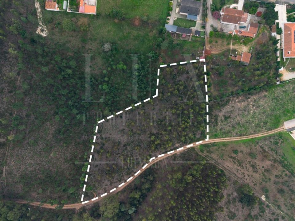 Terrain - Pampilhosa, Aveiro - photo 1