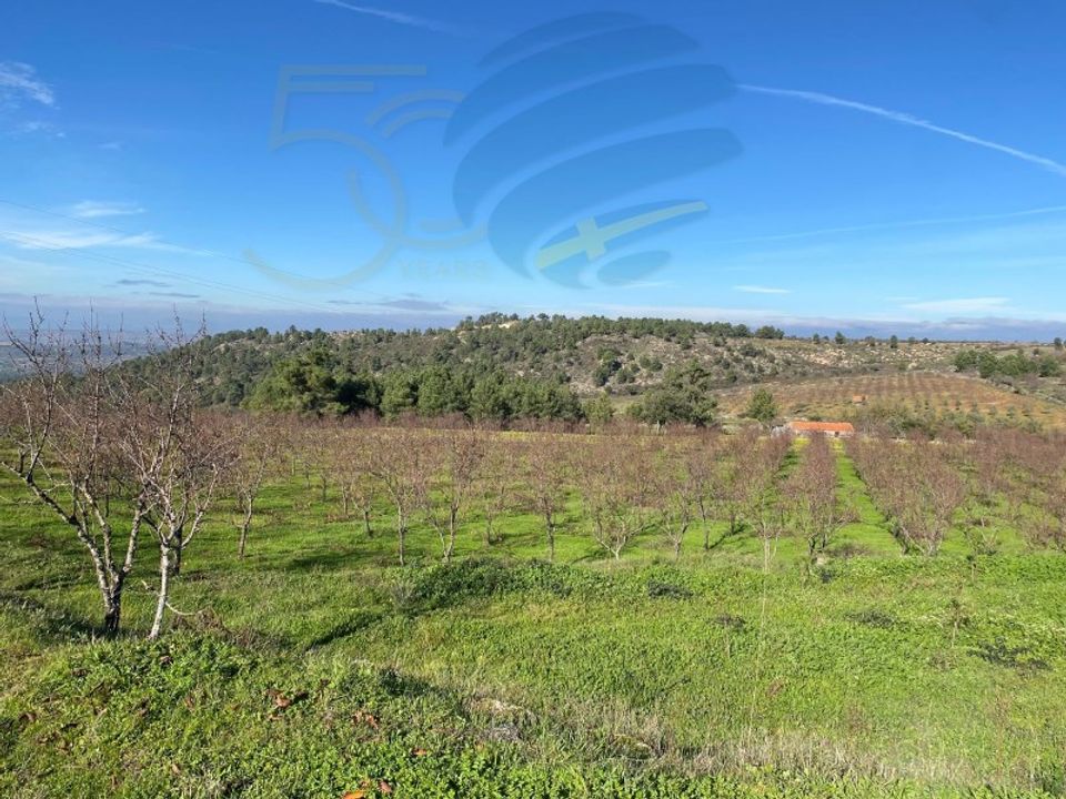 Gård i Felgar e Souto da Velha, Braganca - bilde 1