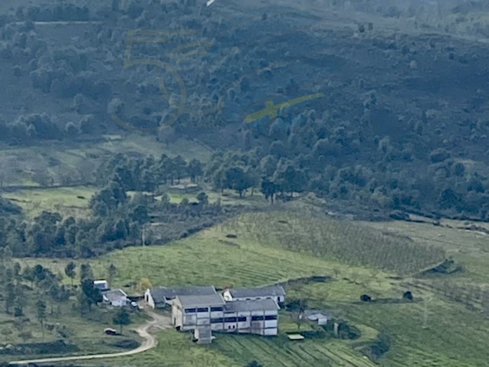 Gård i Felgar e Souto da Velha, Braganca - bilde 2