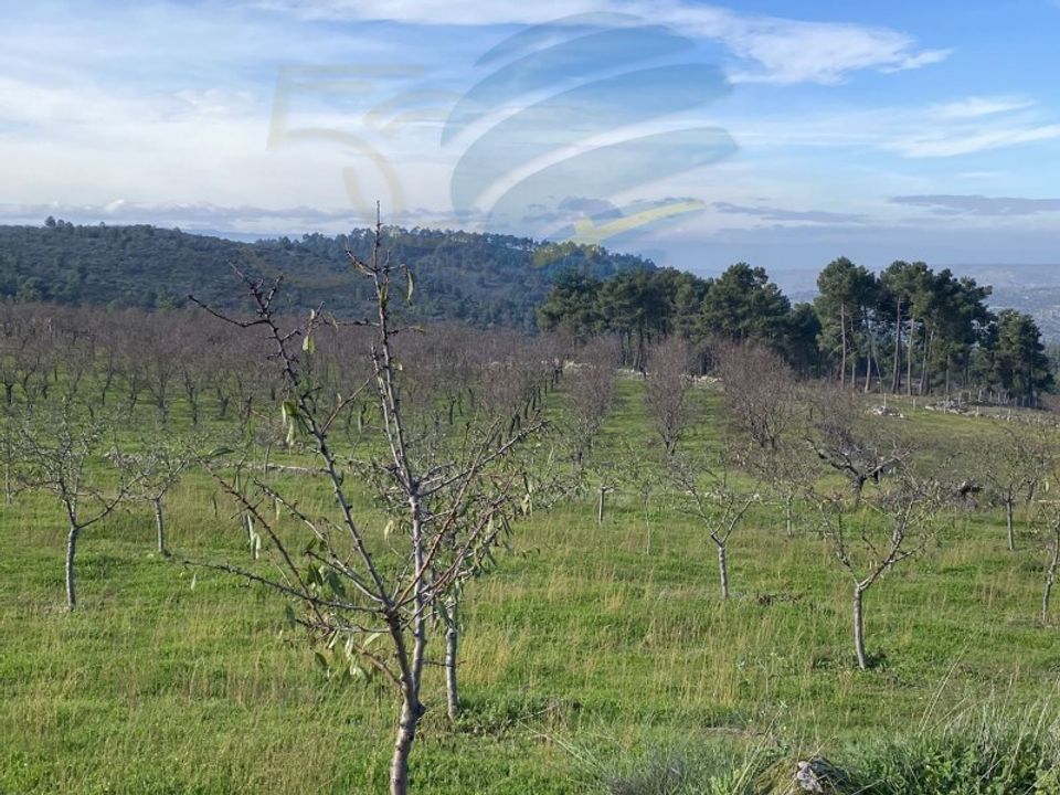 Gård i Felgar e Souto da Velha, Braganca - bilde 4