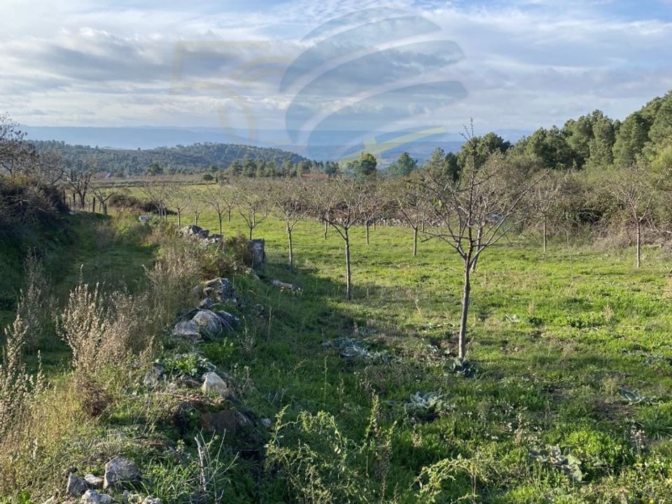 Gård i Felgar e Souto da Velha, Braganca - bilde 5