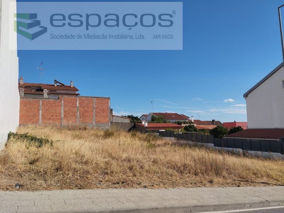 Tomt i Castelo Branco, Castelo Branco - bilde 1