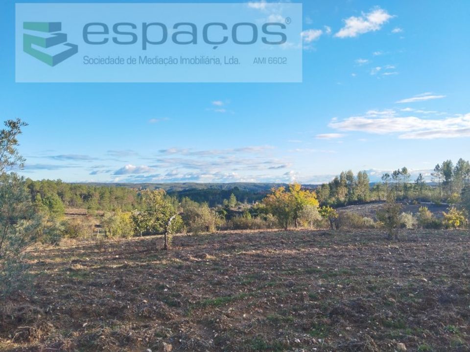 Terreno en Castelo Branco, Castelo Branco - foto 4