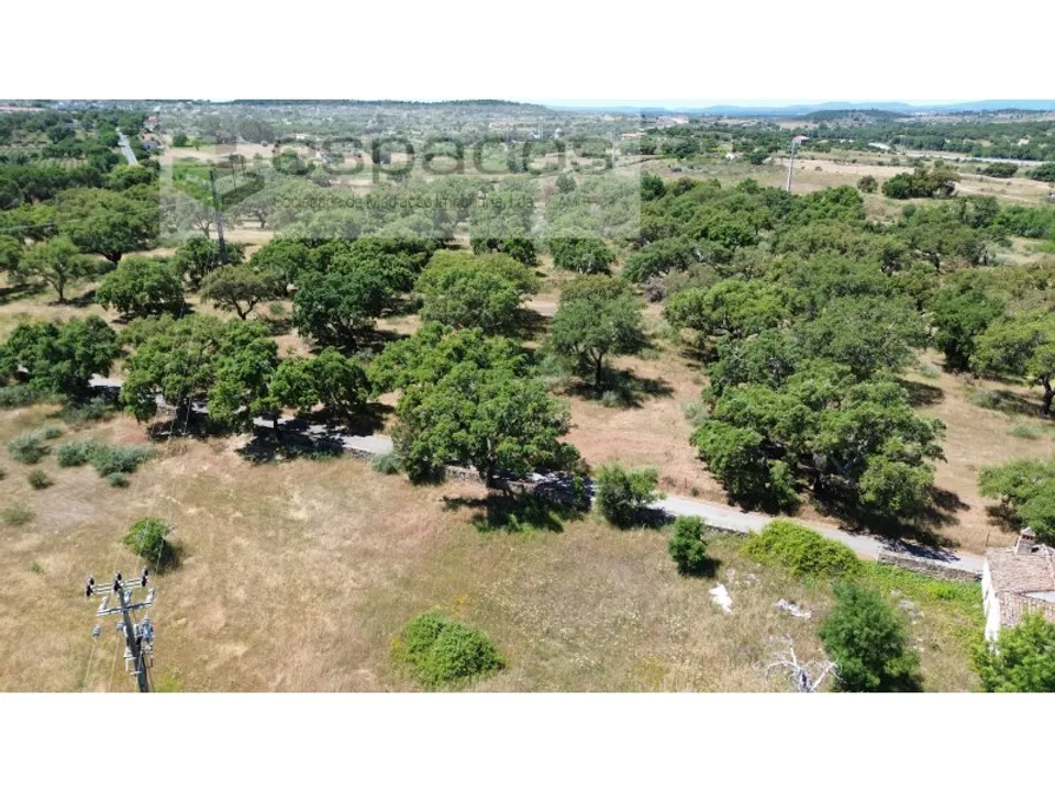 Działka: Castelo Branco, Castelo Branco – zdjęcie 4
