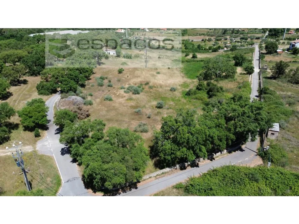 Działka: Castelo Branco, Castelo Branco – zdjęcie 5