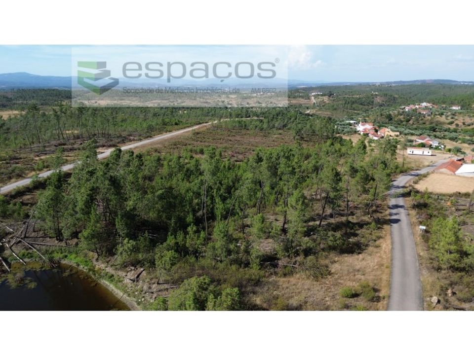 Terreno en Castelo Branco, Castelo Branco - foto 1