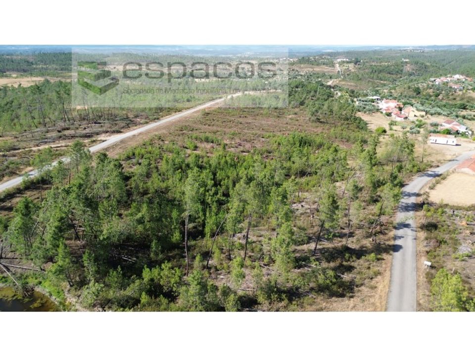 Terreno en Castelo Branco, Castelo Branco - foto 2