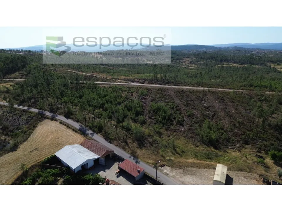 Terreno en Castelo Branco, Castelo Branco - foto 3