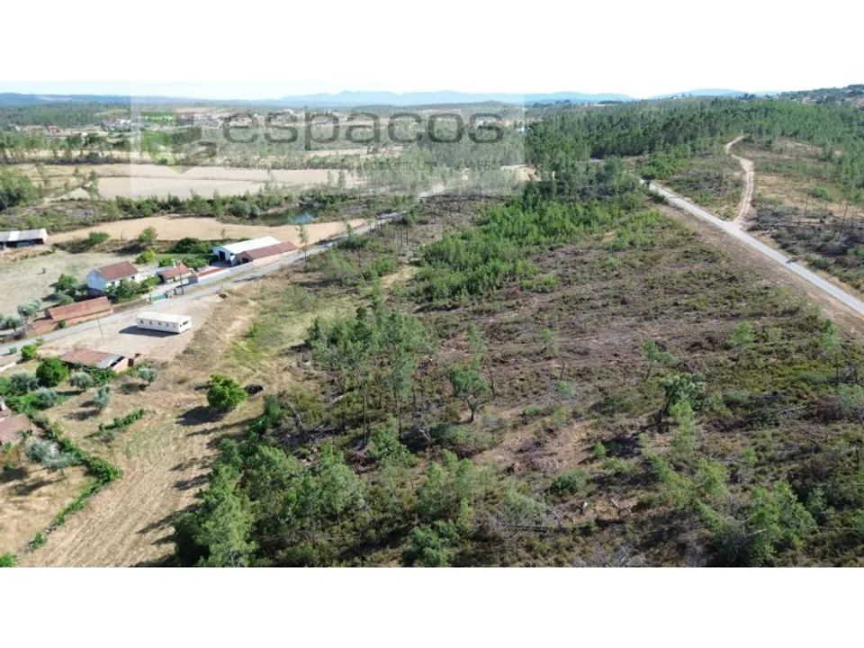 Terreno en Castelo Branco, Castelo Branco - foto 4