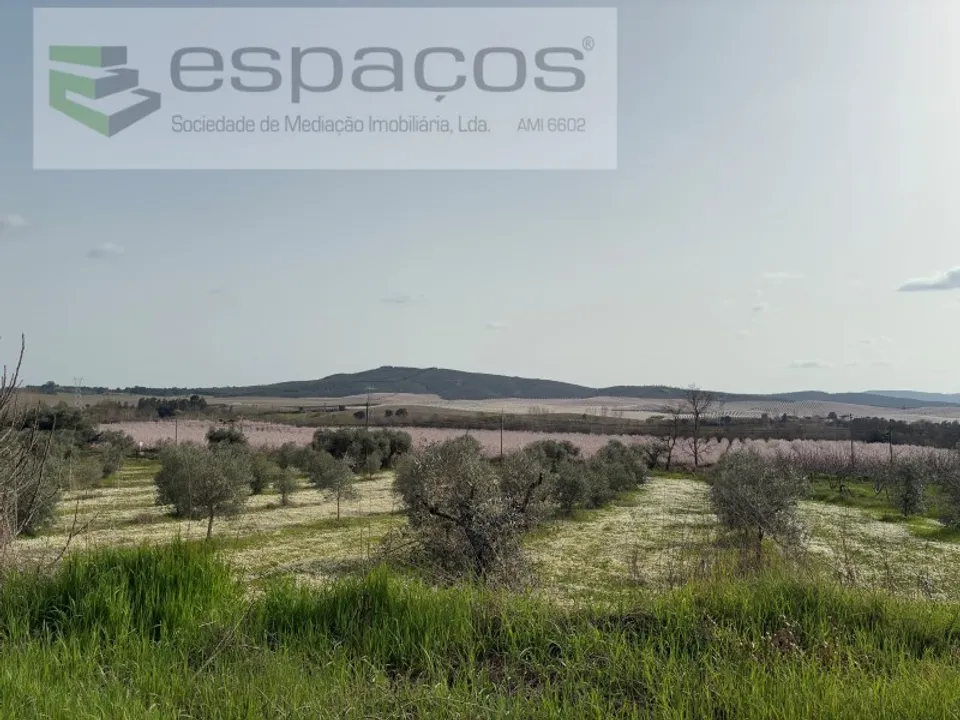 Terra em Fundao, Castelo Branco - foto 1