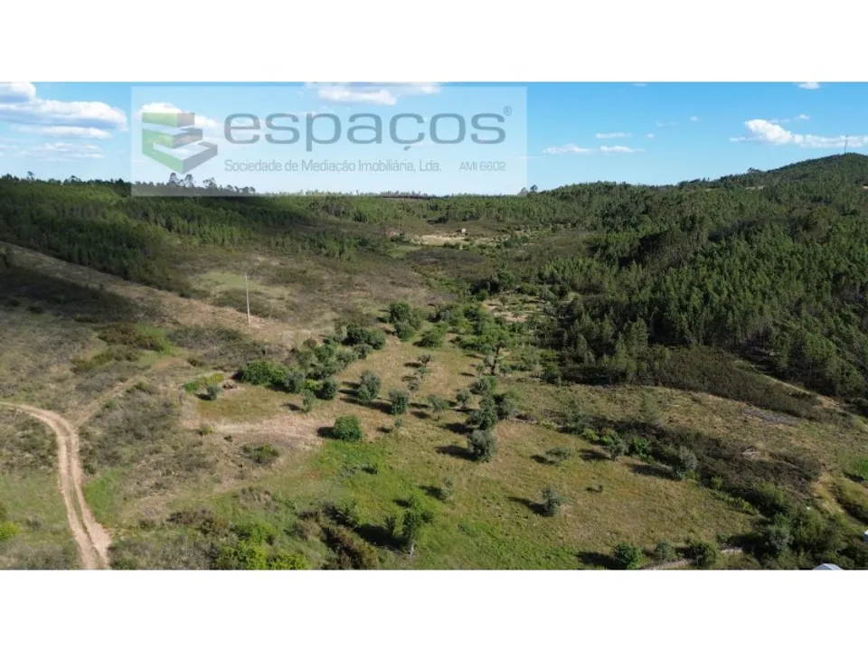 Terreno en Castelo Branco, Castelo Branco - foto 1