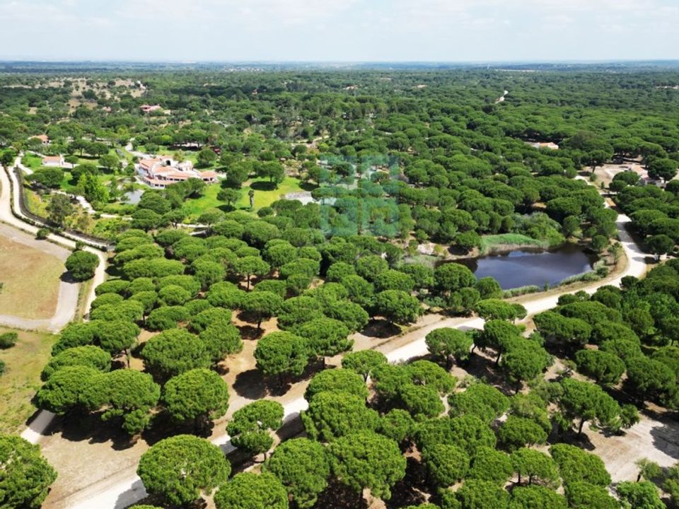 Grond in Santarem, Santarem - foto 1