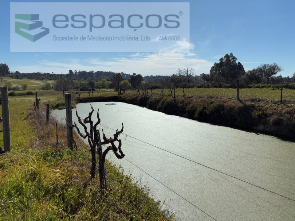 Terreno en Fundao, Castelo Branco - foto 1