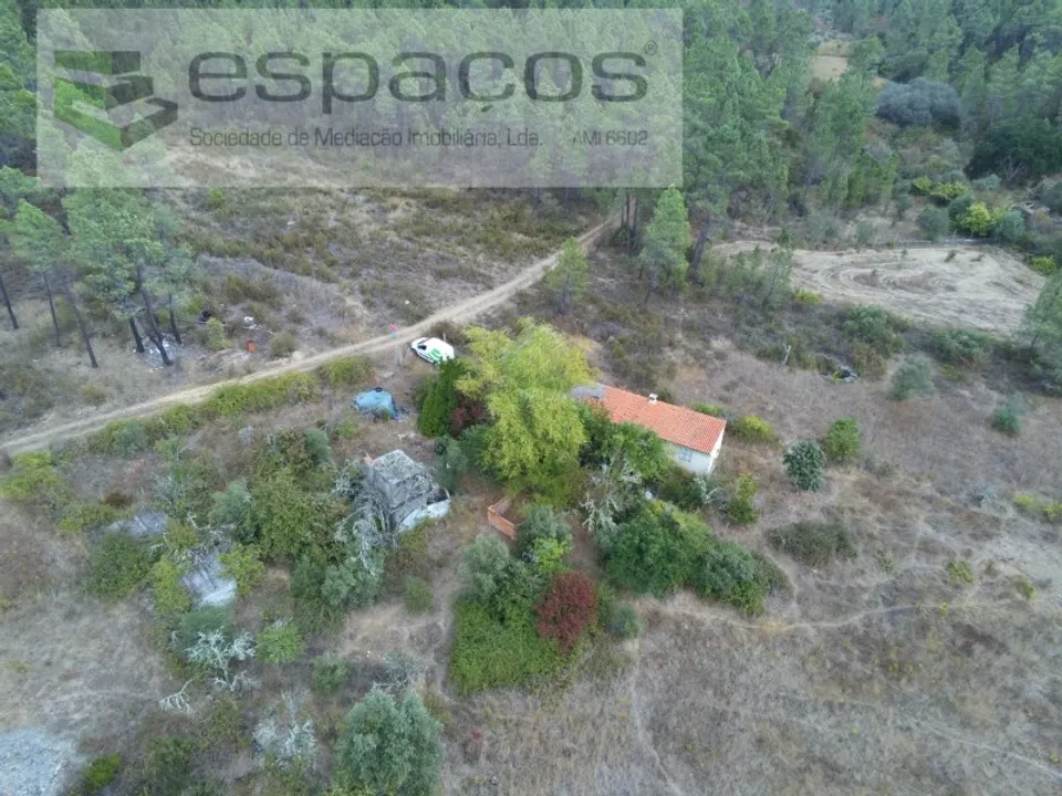 Gospodarstwo: Castelo Branco, Castelo Branco – zdjęcie 2