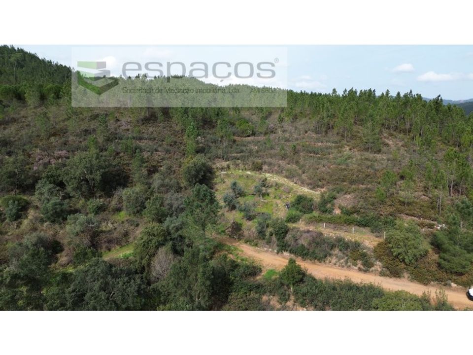 Helårsgrund i Sobreira Formosa e Alvito da Beira, Castelo Branco - foto 4