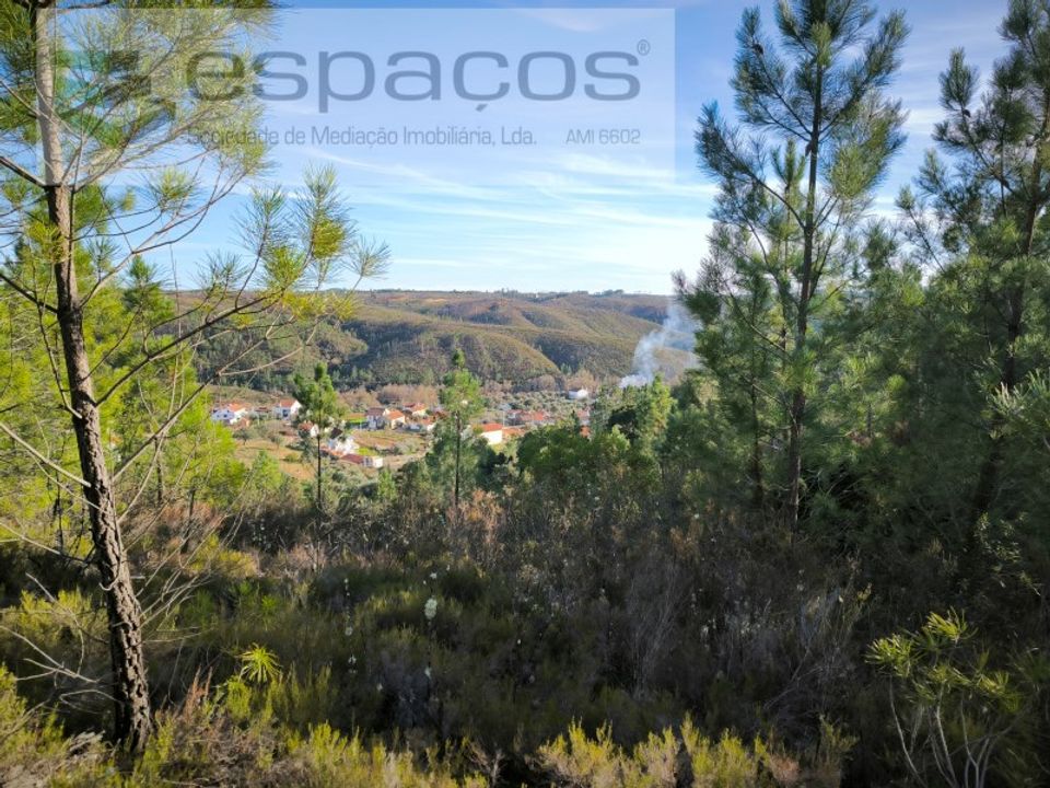 Helårsgrund i Sobreira Formosa e Alvito da Beira, Castelo Branco - foto 2