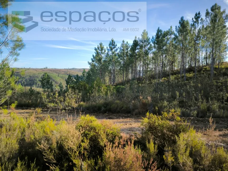 Helårsgrund i Sobreira Formosa e Alvito da Beira, Castelo Branco - foto 3