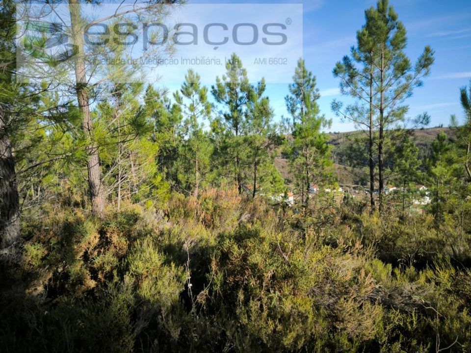 Helårsgrund i Sobreira Formosa e Alvito da Beira, Castelo Branco - foto 5