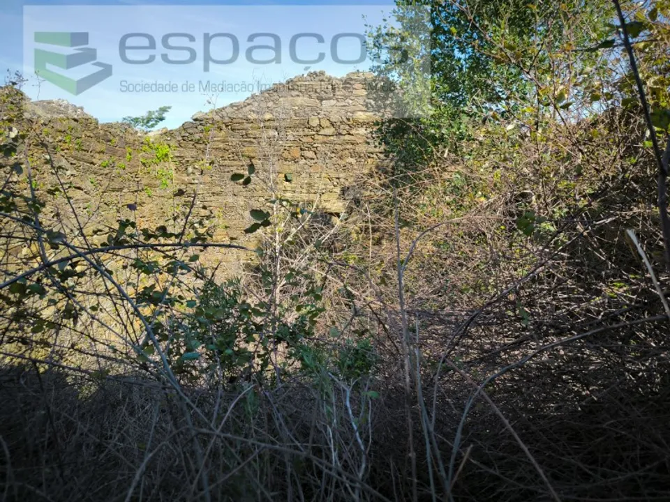 Terreno en Castelo Branco, Castelo Branco - foto 4