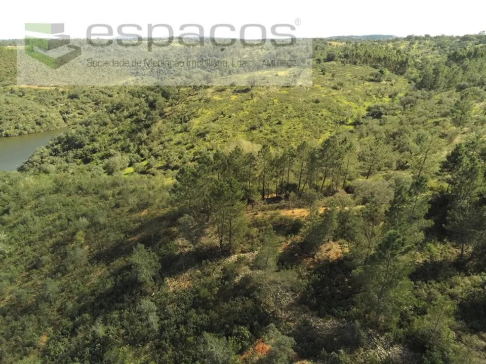 Terreno en Castelo Branco, Castelo Branco - foto 4