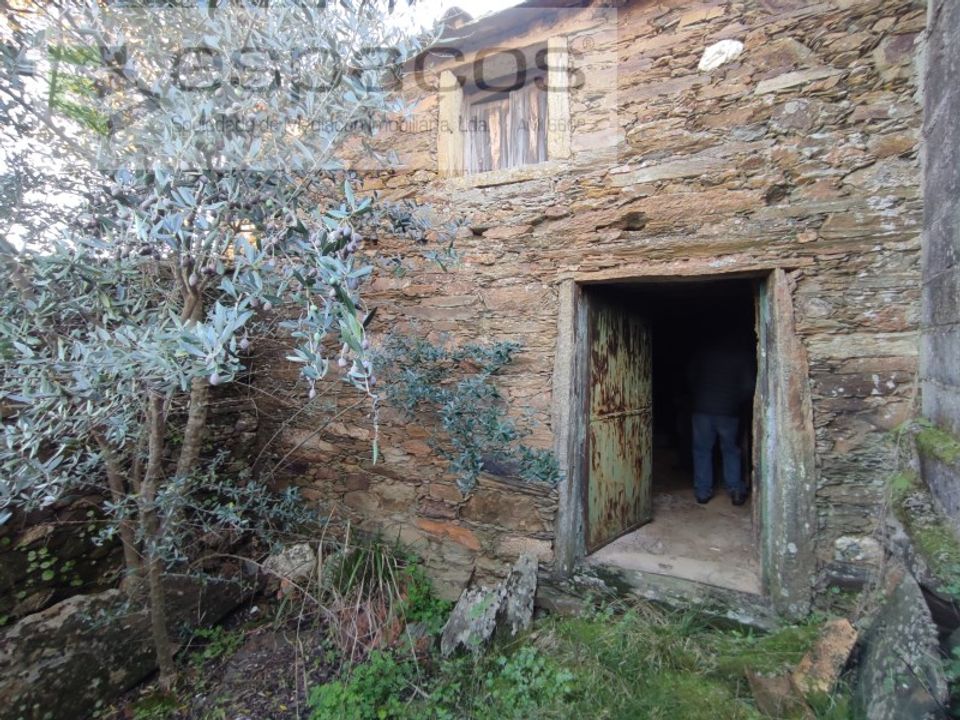 Willa: Castelo Branco, Castelo Branco – zdjęcie 1