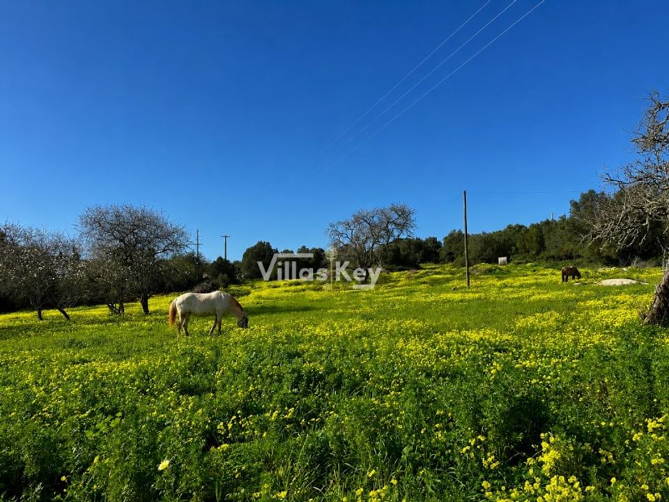 Terra a Bensafrim, Faro - foto 2