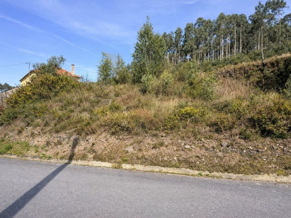 Terra em Outeiro, Viana do Castelo - foto 4