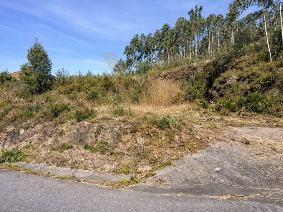 Terra em Outeiro, Viana do Castelo - foto 5